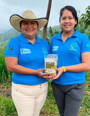 Flor_de_caña-1024x856